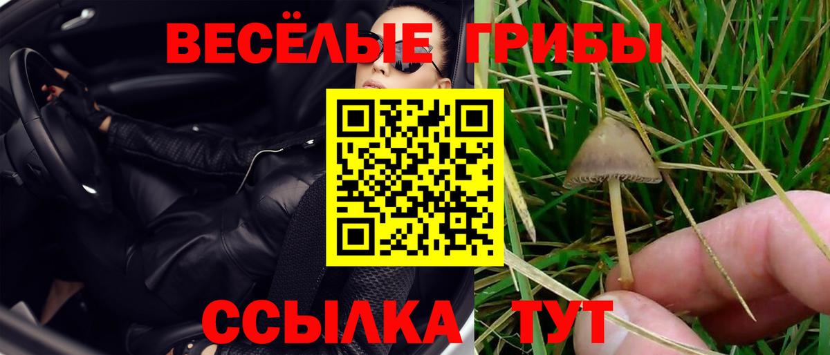 Псилоцибиновые грибы GOLDEN TEACHER  Вход с VPN  Галлюциногенные грибы GOLDEN TEACHER  Ирбит 
